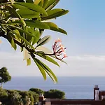 Hacienda Clavero Four Garden